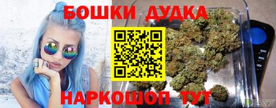 гашик Бийск