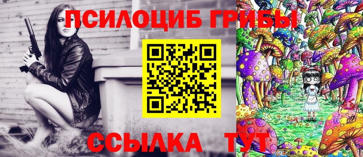 Ирбит  Галлюциногенные грибы Magic Shrooms  Псилоцибиновые грибы мухоморы  что такое наркотик  Вход с VPN 